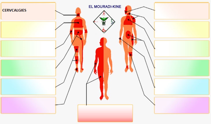 Rééducation sportive